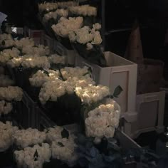 white roses are arranged in boxes on display