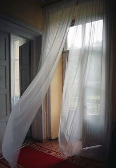 an open window with white curtains and a red rug