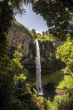 a large waterfall in the middle of a lush green forest