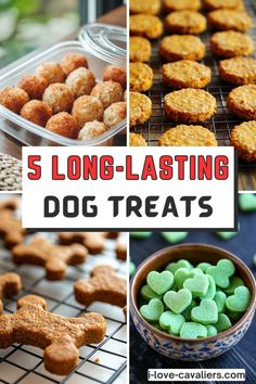 there are many different dog treats in this collage with the words, 5 long - tasting dog treats