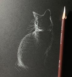 a pencil drawing of a cat on a black paper