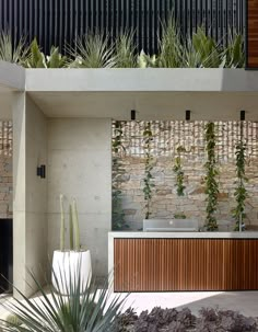 an outdoor kitchen with plants growing on the wall