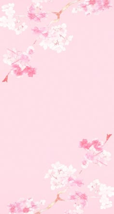 a pink background with white and pink flowers