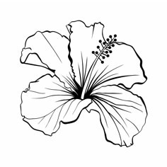 a black and white drawing of a flower