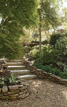 stone steps lead up to the trees and bushes