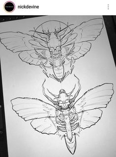 a drawing of two bugs with wings on it's back, and one bug in the