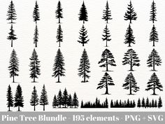 pine tree silhouettes in black and white with the text pine tree bundle 130 elements png