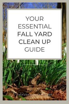 a white sign that says your essential fall yard clean up guide with snowdrops in the background