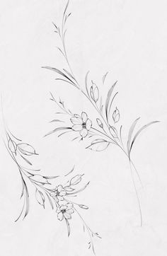 an ink drawing of flowers and leaves on white paper