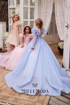 Luxury Tulle Princess Dress For Festive Occasions, Luxury Whimsical Princess Dress For Pageant, Cheap Princess Style Birthday Dress, Luxury Princess Gown For Costume Party, Luxury Floral Applique Princess Dress For Pageants, Luxury Organza Princess Dress For Pageant, Luxury Princess Pageant Dress, Luxury Tulle Princess Dress For Dress-up, Affordable Playful Princess Dress For Parties