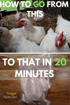 chickens in their pen with the words how to go from this to that in 20 minutes