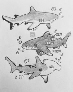 three sharks swimming in the water with bubbles