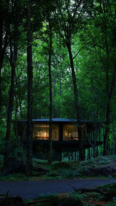 a small cabin in the middle of a forest with trees around it and lights on