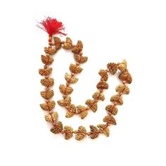 This 1 Mukhi Rudraksha Half Moon Shaped Mala is consists of 33 Rudraksha Beads of 1 Mukhi that are string in a red colored thread. 1 Mukhi Rudraksha Mala brings overall prosperity, good luck, and happiness to the Wearer. Color: Beige Brown Mix Total Beads: 32+1 Size of Beads: 27mm to 32mm Shape of Bead: Half-moon Shape Length of Mala: 18 Inches approx. *Please note that as Rudraksha is Natural Gift of nature, the pattern and color on beads might vary depending upon lot to lot. (Images shown in l Traditional Hand Knotted Jewelry As Gift, Hand Knotted Traditional Jewelry For Gifts, Traditional Hand Knotted Jewelry For Gifts, Traditional Hand-knotted Jewelry Gift, Diwali Puja Beaded Necklaces With Polished Beads, Diwali Puja Polished Beaded Necklaces, Festive Temple Necklace With Polished Beads, Spiritual Beaded Necklaces For Festive Occasions, Festival Gold Beads Temple Necklace