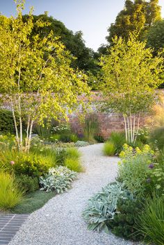 a garden with lots of plants and rocks in the center, along with gravel path