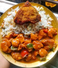 a plate with rice, meat and vegetables on it next to a person's hand