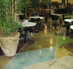 tables and chairs are set up in an open area with plants on either side of them