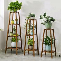 three wooden plant stands with plants in them