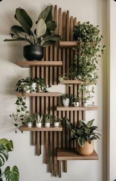 a wall mounted shelf filled with plants on top of wooden shelves next to a white wall