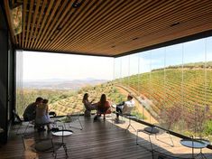 some people sitting on chairs and looking out at the vineyard