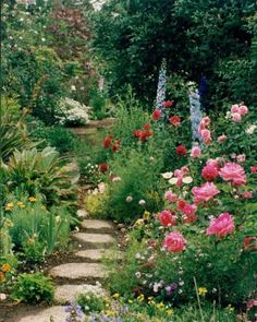 a garden filled with lots of different types of flowers and plants on each side of the path