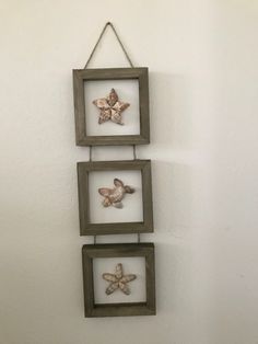 three framed starfishs hanging on a wall