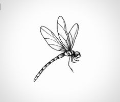 a black and white drawing of a dragonfly