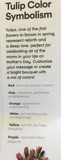 an advertisement for tulip color symbolism