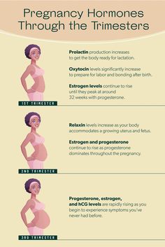 pregnant women's health info sheet showing the different stages of breasting and how to use