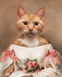 an orange and white cat wearing a dress with pink flowers on it's chest