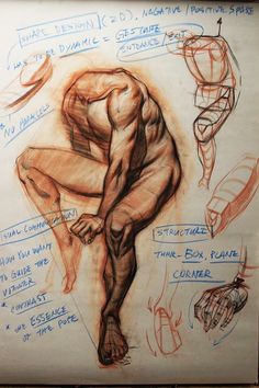 a drawing of a man's body and muscles