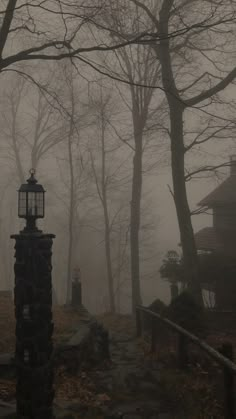 a lamp post in the middle of a forest on a foggy day