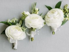 three white flowers are arranged on the wall