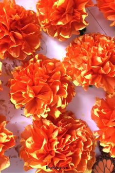 orange flowers are arranged on a white surface