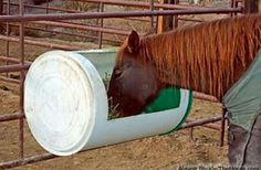 a brown horse eating hay out of a plastic container on top of a metal fence