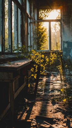 the sun shines through an abandoned building with broken windows and plants growing out of it