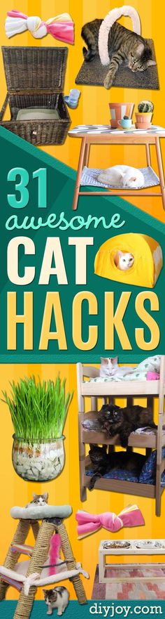 the cover of 31 awesome cat hacks by diyoy com, with pictures of cats in different positions