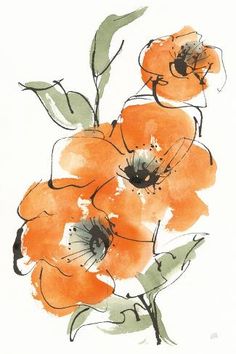 an orange flower with green leaves is shown in this watercolor and ink painting style