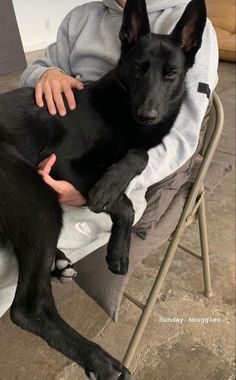 a black dog laying on top of a person's lap while sitting in a chair