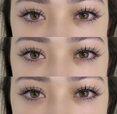 Eyelash Growth Cycle, Angel Lashes, Bottom Lash Extensions, Natural Fake Eyelashes, Lashes Fake Eyelashes, Bottom Lashes, Lash Extensions Makeup, Perfect Eyelashes, Pretty Lashes