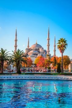 the blue mosque in turkey is surrounded by palm trees