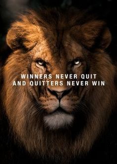 a lion with the caption winners never quitt and quitters never win