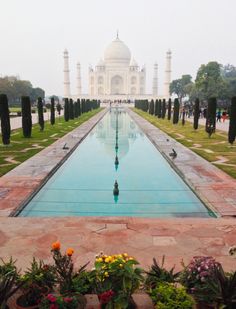 the tajwaf is surrounded by many trees and flowers