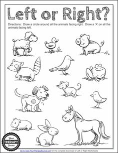 an animal worksheet with the words let or right?