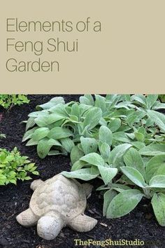 a teddy bear laying on the ground in front of some flowers and plants with text that reads elements of a feng shui garden