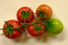 Tomato Pics, Tomato Photo, Lucid Gem Tomato, Everglades Tomato, Heirloom Tomato Photography