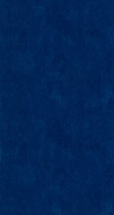 an image of a blue book cover