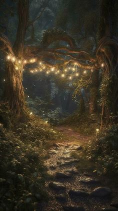 a path in the middle of a forest with fairy lights hanging from it's sides