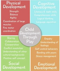 the four stages of development in children's development and development, including physical development, social