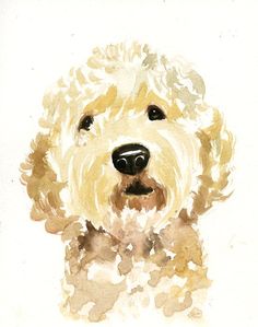 a watercolor painting of a dog's face